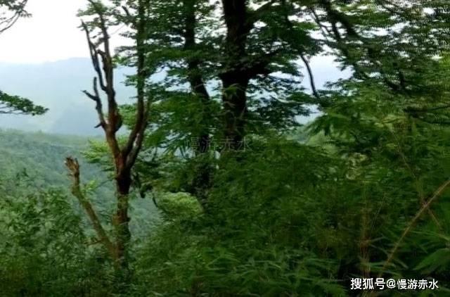 我想好了我想要努力……